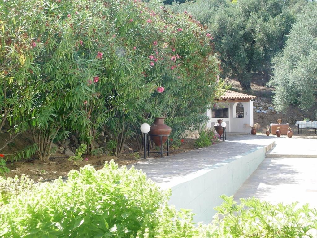 Villa Maro スコペロス エクステリア 写真